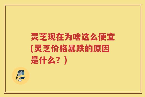 灵芝现在为啥这么便宜(灵芝价格暴跌的原因是什么？)