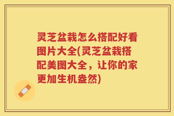 灵芝盆栽怎么搭配好看图片大全(灵芝盆栽搭配美图大全，让你的家更加生机盎然)