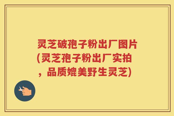 灵芝破孢子粉出厂图片(灵芝孢子粉出厂实拍,品质媲美野生灵芝) 灵芝破孢子粉出厂图片(灵芝孢子粉出厂实拍,品质媲美野生灵芝)