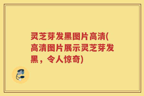灵芝芽发黑图片高清(高清图片展示灵芝芽发黑，令人惊奇)
