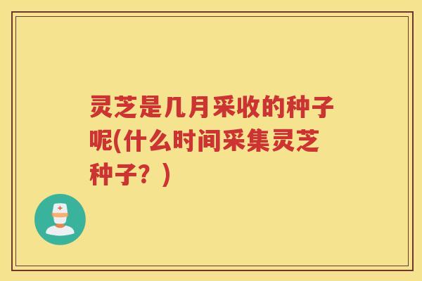 灵芝是几月采收的种子呢(什么时间采集灵芝种子？)