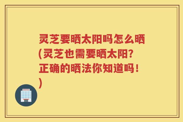 灵芝要晒太阳吗怎么晒(灵芝也需要晒太阳？正确的晒法你知道吗！)