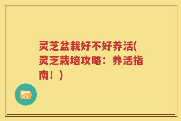 灵芝盆栽好不好养活(灵芝栽培攻略：养活指南！)