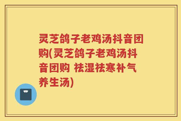 灵芝鸽子老鸡汤抖音团购(灵芝鸽子老鸡汤抖音团购 祛湿祛寒养生汤)