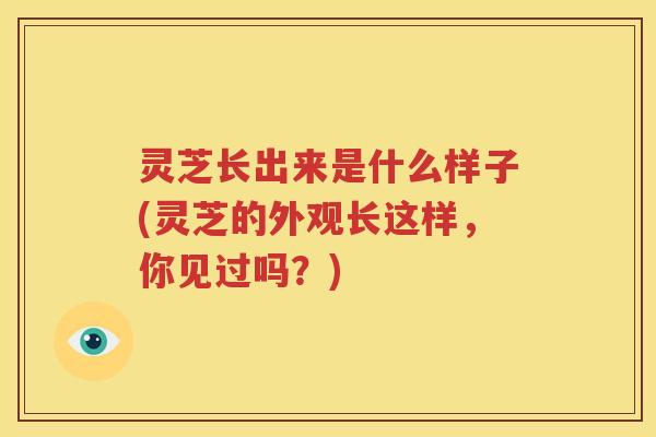 灵芝长出来是什么样子(灵芝的外观长这样,你见过吗?) 灵芝长出来是什么样子(灵芝的外观长这样,你见过吗?)