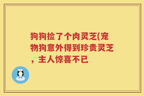狗狗捡了个肉灵芝(宠物狗意外得到珍贵灵芝,主人惊喜不已 狗狗捡了个肉灵芝(宠物狗意外得到珍贵灵芝,主人惊喜不已