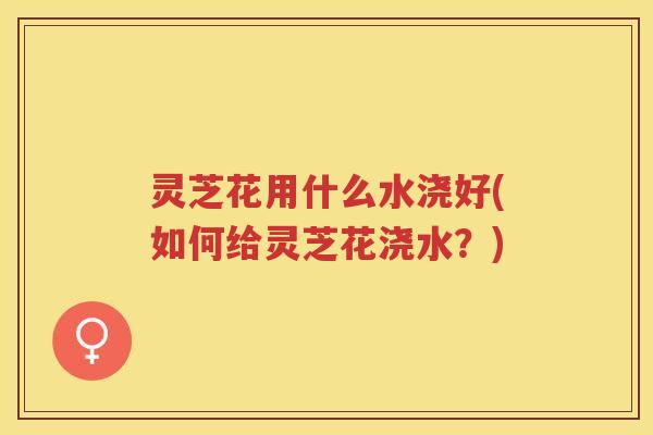 灵芝花用什么水浇好(如何给灵芝花浇水？)