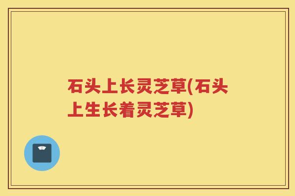石头上长灵芝草(石头上生长着灵芝草)