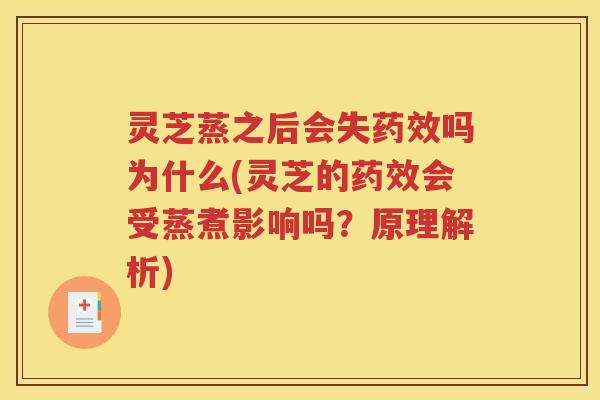 灵芝蒸之后会失吗为什么(灵芝的会受蒸煮影响吗？原理解析)