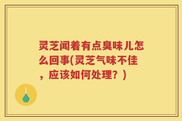 灵芝闻着有点臭味儿怎么回事(灵芝气味不佳，应该如何处理？)