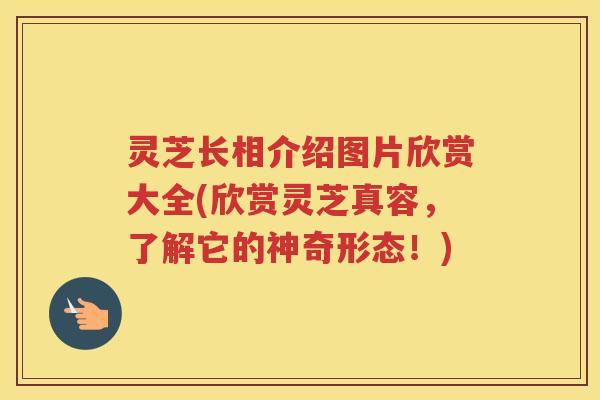 灵芝长相介绍图片欣赏大全(欣赏灵芝真容，了解它的神奇形态！)