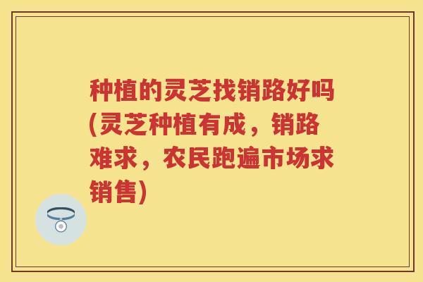 种植的灵芝找销路好吗(灵芝种植有成,销路难求,农民跑遍市场求销售) 种植的灵芝找销路好吗(灵芝种植有成,销路难求,农民跑遍市场求销售)