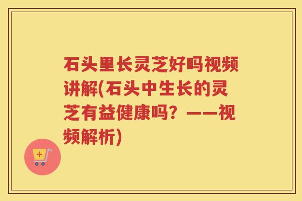 石头里长灵芝好吗视频讲解(石头中生长的灵芝有益健康吗？——视频解析)