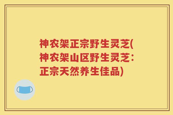 神农架正宗野生灵芝(神农架山区野生灵芝：正宗天然养生佳品)