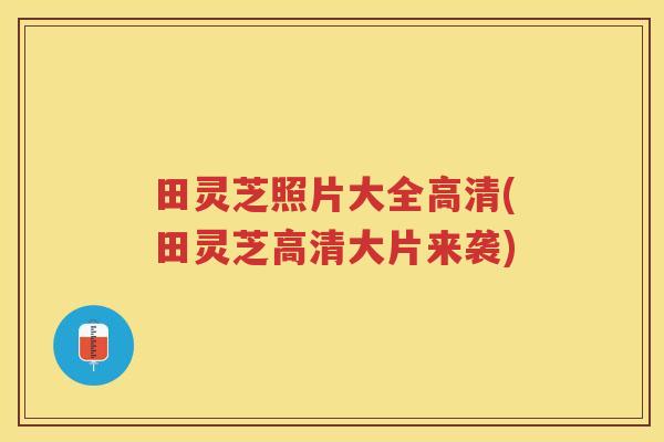 田灵芝照片大全高清(田灵芝高清大片来袭)