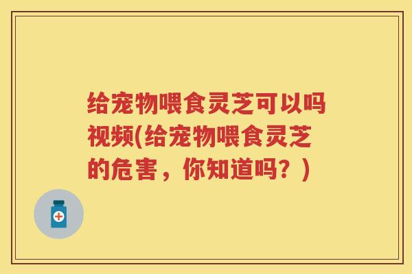 给宠物喂食灵芝可以吗视频(给宠物喂食灵芝的危害，你知道吗？)
