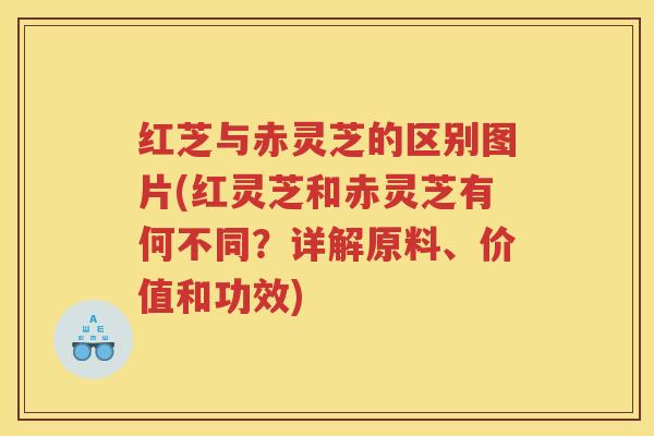 红芝与赤灵芝的区别图片(红灵芝和赤灵芝有何不同?详解原料、价值和功效) 红芝与赤灵芝的区别图片(红灵芝和赤灵芝有何不同?详解原料、价值和功效)