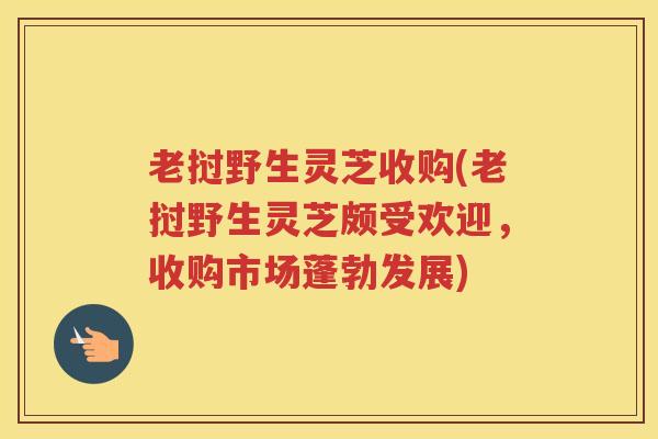 老挝野生灵芝收购(老挝野生灵芝颇受欢迎，收购市场蓬勃发展)