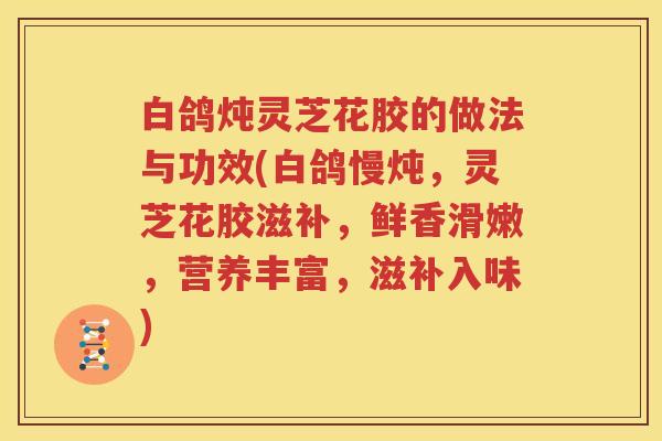 白鸽炖灵芝花胶的做法与功效(白鸽慢炖，灵芝花胶滋补，鲜香滑嫩，营养丰富，滋补入味)