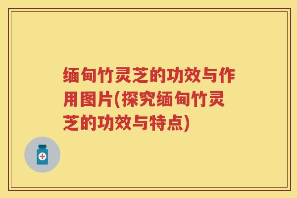 缅甸竹灵芝的功效与作用图片(探究缅甸竹灵芝的功效与特点)