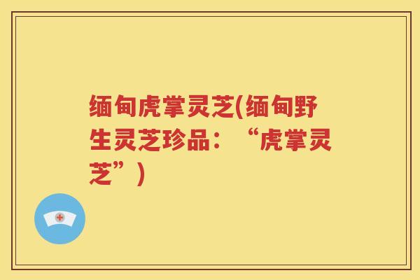 缅甸虎掌灵芝(缅甸野生灵芝珍品：“虎掌灵芝”)