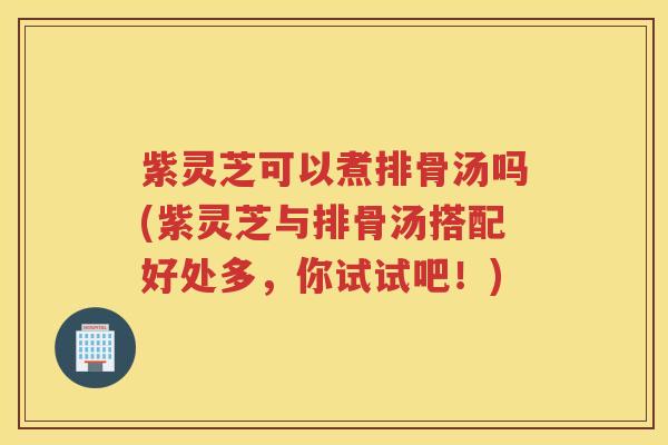 紫灵芝可以煮排骨汤吗(紫灵芝与排骨汤搭配好处多,你试试吧!) 紫灵芝可以煮排骨汤吗(紫灵芝与排骨汤搭配好处多,你试试吧!)