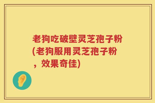 老狗吃破壁灵芝孢子粉(老狗服用灵芝孢子粉，效果奇佳)