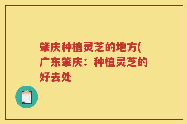 肇庆种植灵芝的地方(广东肇庆：种植灵芝的好去处