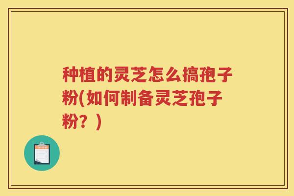 种植的灵芝怎么搞孢子粉(如何制备灵芝孢子粉？)