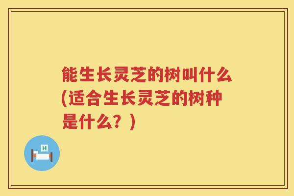 能生长灵芝的树叫什么(适合生长灵芝的树种是什么？)