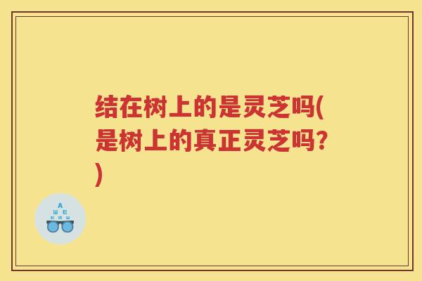 结在树上的是灵芝吗(是树上的真正灵芝吗?) 结在树上的是灵芝吗(是树上的真正灵芝吗?)