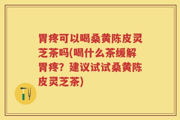 胃疼可以喝桑黄陈皮灵芝茶吗(喝什么茶缓解胃疼？建议试试桑黄陈皮灵芝茶)