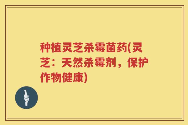 种植灵芝杀霉菌药(灵芝：天然杀霉剂，保护作物健康)