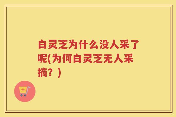 白灵芝为什么没人采了呢(为何白灵芝无人采摘？)