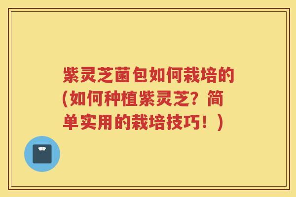 紫灵芝菌包如何栽培的(如何种植紫灵芝？简单实用的栽培技巧！)