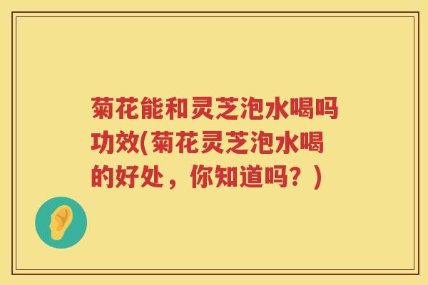 菊花能和灵芝泡水喝吗功效(菊花灵芝泡水喝的好处,你知道吗?) 菊花能和灵芝泡水喝吗功效(菊花灵芝泡水喝的好处,你知道吗?)