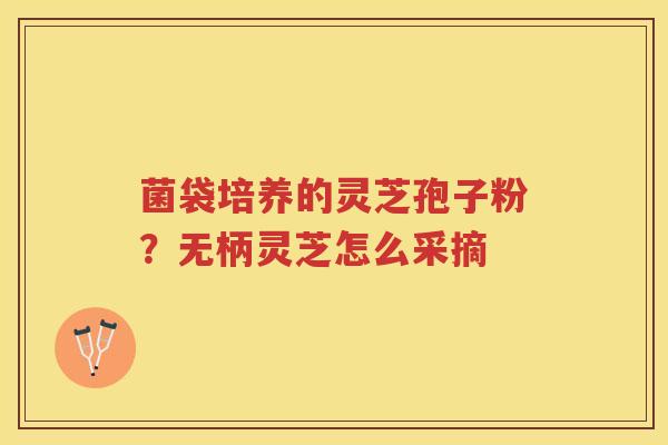 菌袋培养的灵芝孢子粉？无柄灵芝怎么采摘