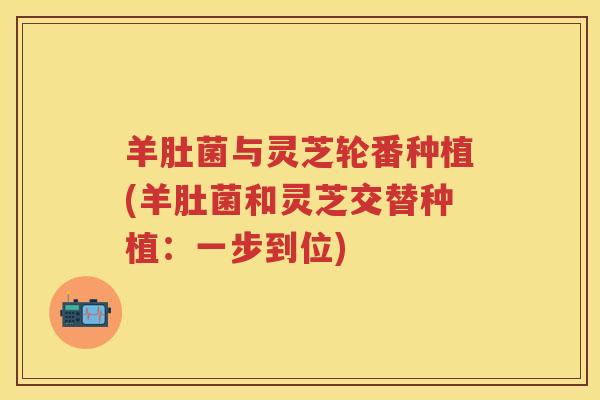 羊肚菌与灵芝轮番种植(羊肚菌和灵芝交替种植：一步到位)
