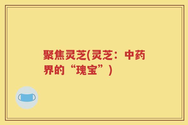 聚焦灵芝(灵芝：界的“瑰宝”)