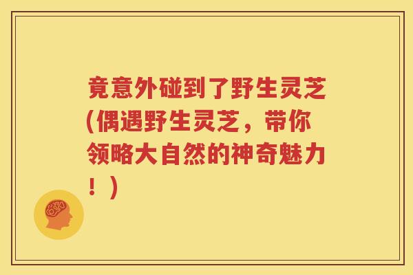 竟意外碰到了野生灵芝(偶遇野生灵芝，带你领略大自然的神奇魅力！)