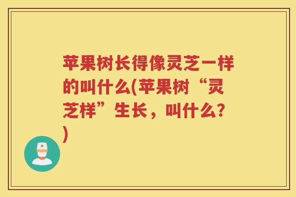 苹果树长得像灵芝一样的叫什么(苹果树“灵芝样”生长，叫什么？)