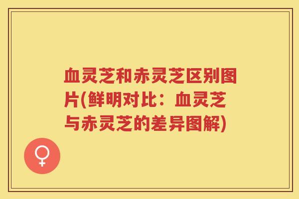 灵芝和赤灵芝区别图片(鲜明对比：灵芝与赤灵芝的差异图解)