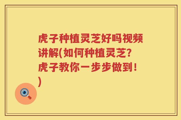 虎子种植灵芝好吗视频讲解(如何种植灵芝？虎子教你一步步做到！)