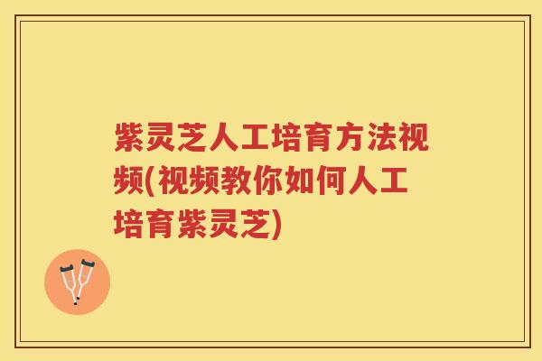 紫灵芝人工培育方法视频(视频教你如何人工培育紫灵芝)