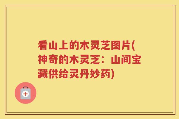 看山上的木灵芝图片(神奇的木灵芝:山间宝藏供给灵丹妙药) 看山上的木灵芝图片(神奇的木灵芝:山间宝藏供给灵丹妙药)