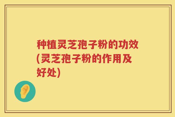 种植灵芝孢子粉的功效(灵芝孢子粉的作用及好处)