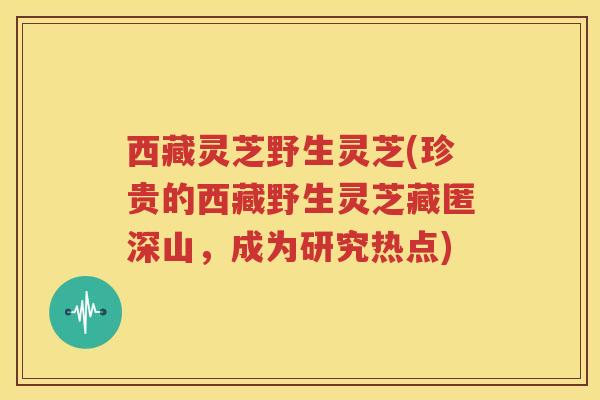 西藏灵芝野生灵芝(珍贵的西藏野生灵芝藏匿深山，成为研究热点)