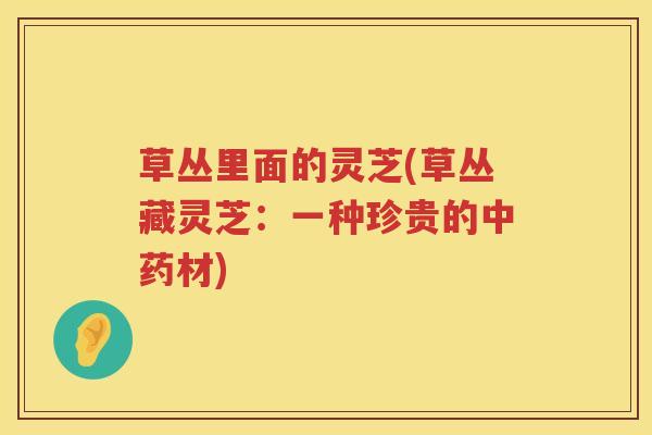 草丛里面的灵芝(草丛藏灵芝:一种珍贵的材) 草丛里面的灵芝(草丛藏灵芝:一种珍贵的材)