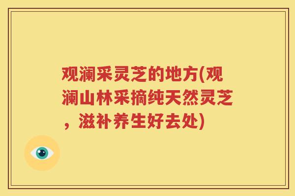 观澜采灵芝的地方(观澜山林采摘纯天然灵芝，滋补养生好去处)