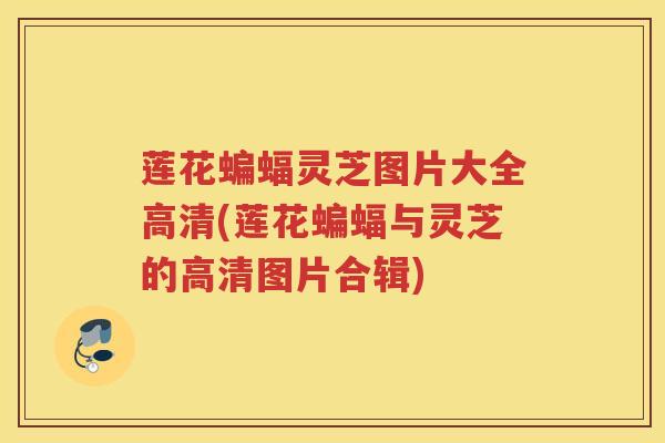 莲花蝙蝠灵芝图片大全高清(莲花蝙蝠与灵芝的高清图片合辑)